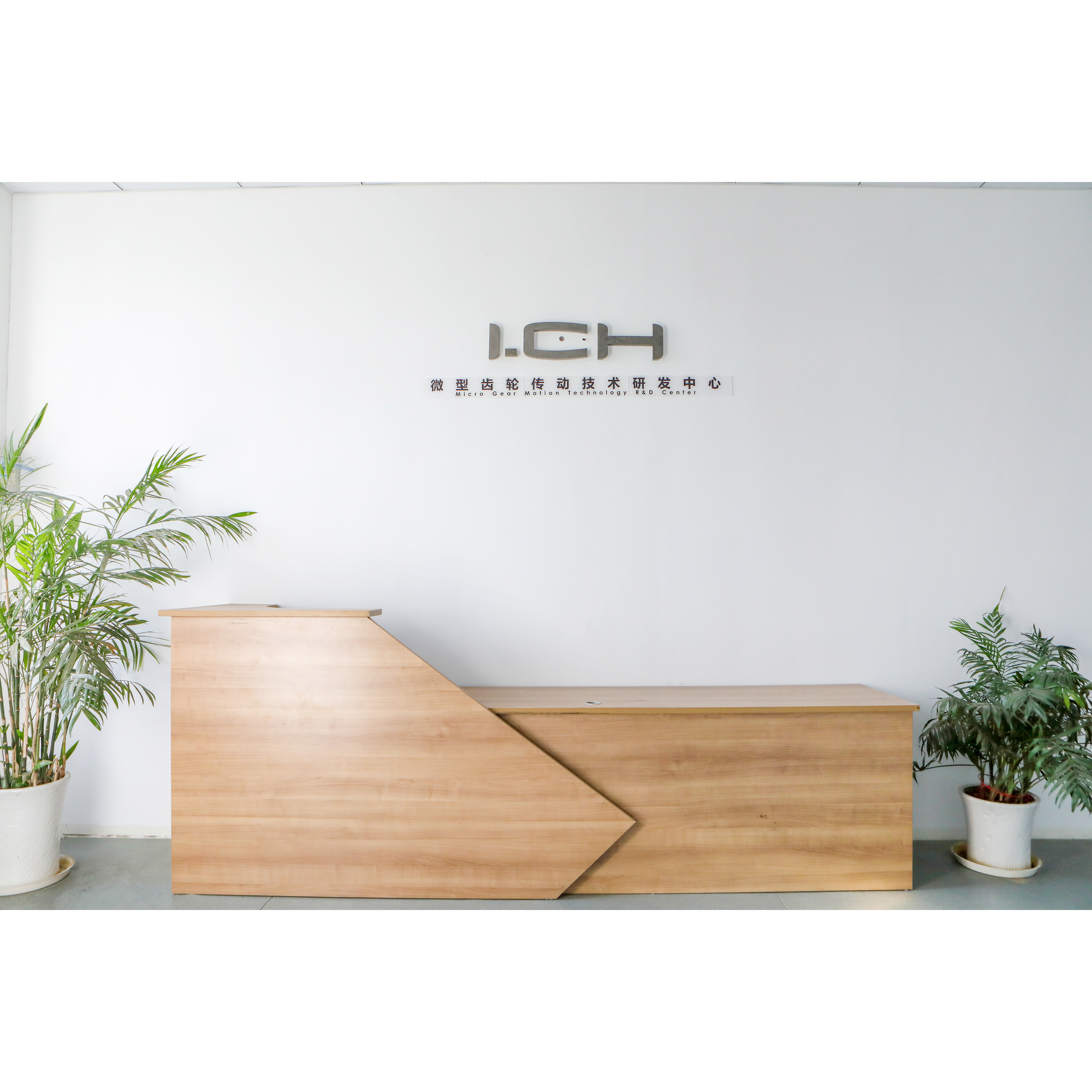 محرك صغير 12V DC مع علبة التروس