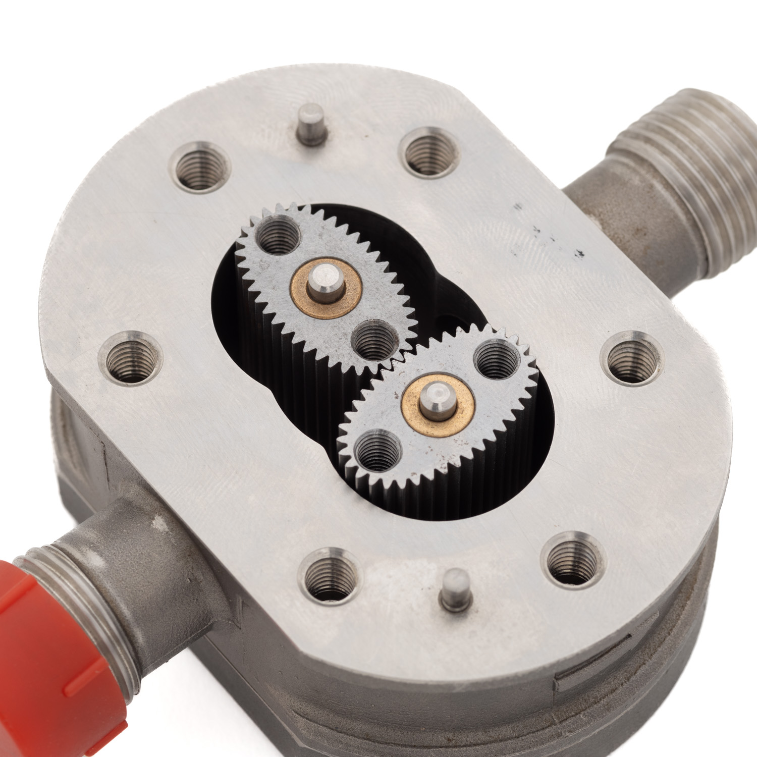 ترس بيضاوي من الفولاذ المقاوم للصدأ